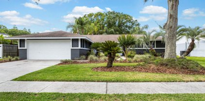 5804 Lady Bug Court, Tampa