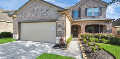 307 Lake Line Drive, Alvin