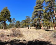 1493 Pinedale Ranch  Circle, Evergreen image