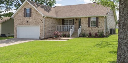 203 Poulan Ct, La Vergne