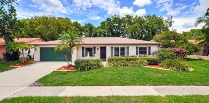 16412 Bonneville Drive, Tampa