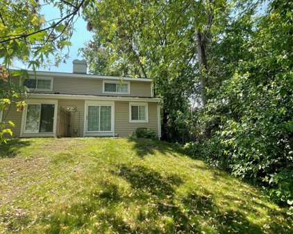 3289 Hill Ridge Drive Unit #66, Eagan