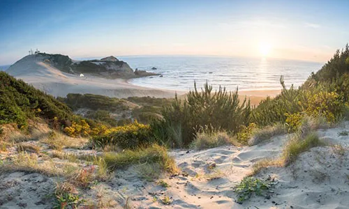 Gleneden Beach