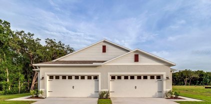 3646 Meadow Beauty Way, Clermont