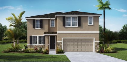 33539 Field Maple Loop, Wesley Chapel