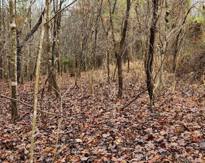 LOT 6 Brooks Mill  Rd, Glade Hill