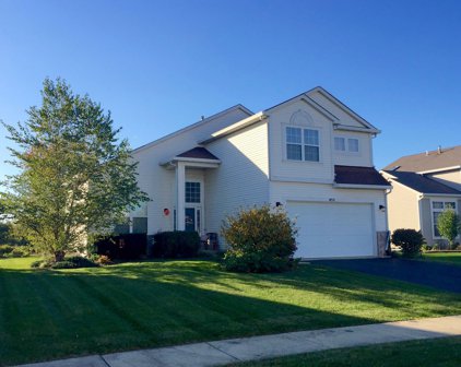 455 S Orchard Drive, Bolingbrook