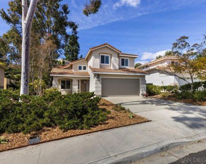 2337 Brookhaven Pass, Vista