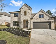 110 Dorado Sky Court, Willis image