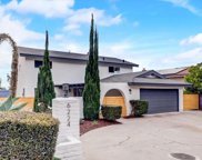6224 College Avenue, San Diego image