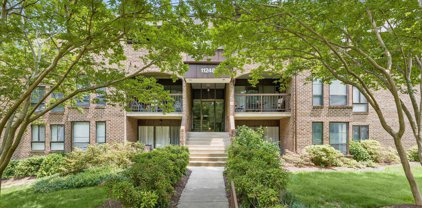 11248 Chestnut Grove Sq Unit #251, Reston