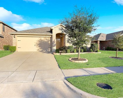 2069 Enchanted Rock  Drive, Forney