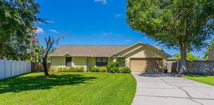 3430 Quail Nest Court, Orlando