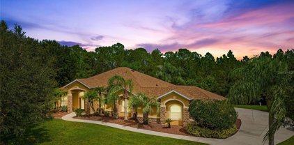 23332 Red Robin Place, Lakewood Ranch