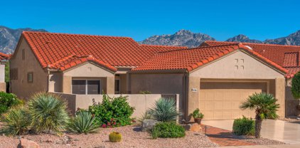 14140 N Willow Bend, Oro Valley
