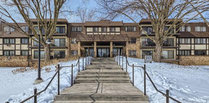 215 Barry Avenue S Unit #318, Wayzata