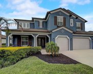 18317 Leafmore Street, Lutz image
