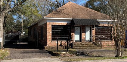 513 Holcombe, Mobile