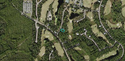 108 Laughing Gull Ln, Carrabelle