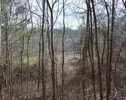 4.8 ac County Road 494, Fort Payne