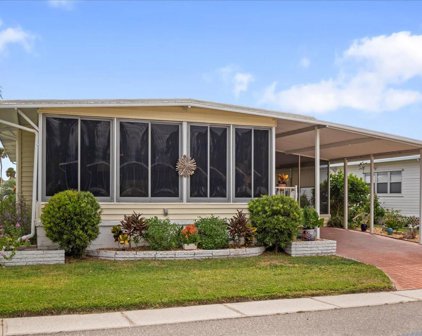 560 Oriental Poppy Drive, Venice
