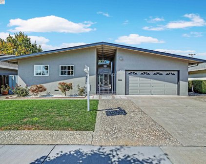 1035 Barry Way, Fremont