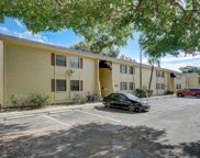 7631 Dolonita Drive, Tampa image