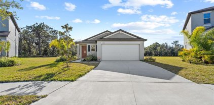 12102 Miracle Mile Drive, Riverview