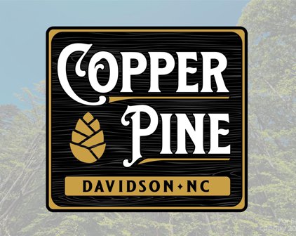 157 Copper Pine  Lane Unit #7, Davidson