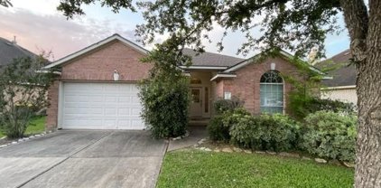 5815 Orchard Spring Court, Pearland