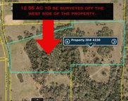 12.55 AC Mellman Road, Hempstead image