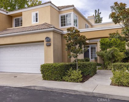 117 Sandcastle, Aliso Viejo