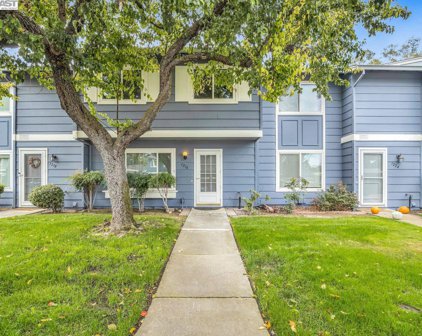 1216 Spring Valley Cmn, Livermore