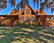 10099 N Curzon Point, Dunnellon image