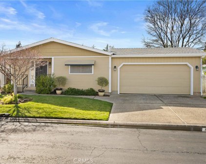 2050 Springfield Drive Unit 217, Chico