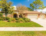 5238 Championship Cup Lane, Spring Hill image