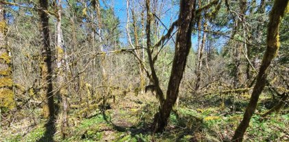 E Huckleberry DR, Welches