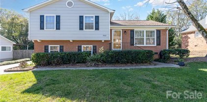 7032 Starvalley  Drive, Charlotte