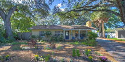 1511 Cameron Court, Tampa