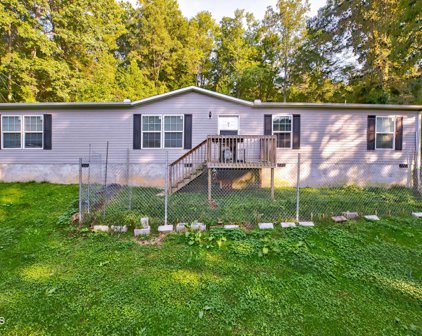 356 New Clear Branch Rd, Rocky Top