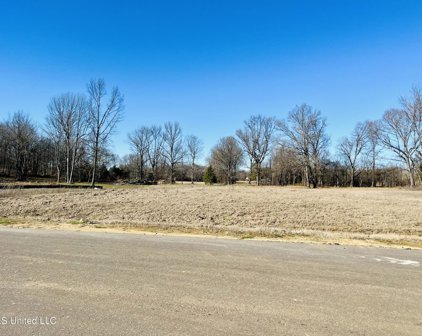 4560 Rowsey Crossing Drive, Hernando