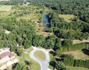 Tree Frog Lot #6 Lane, Eustis image