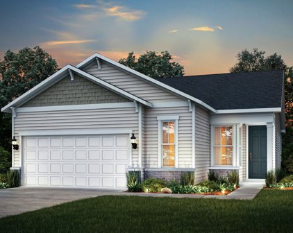 3194 Dove Mountain Drive, Aurora