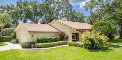 4230 Water Oaks Lane, Tampa
