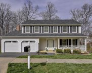12020 Rosiers Branch Dr, Herndon image