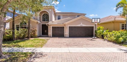 19267 N Hibiscus St, Weston