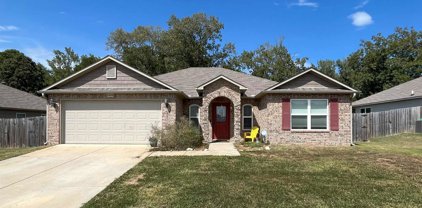 6444 Amalie, Alexander