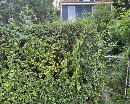 13 Borden Avenue, Asbury Park