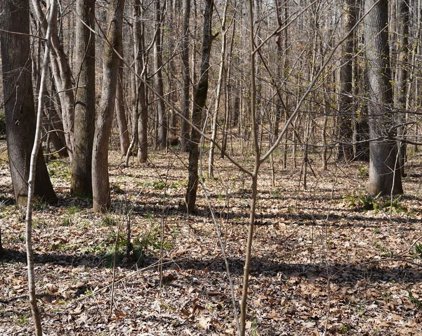 TBD Dulin Road, Blacksburg