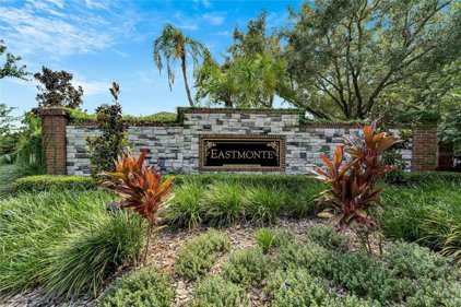 3117 Red Lion Drive, Valrico